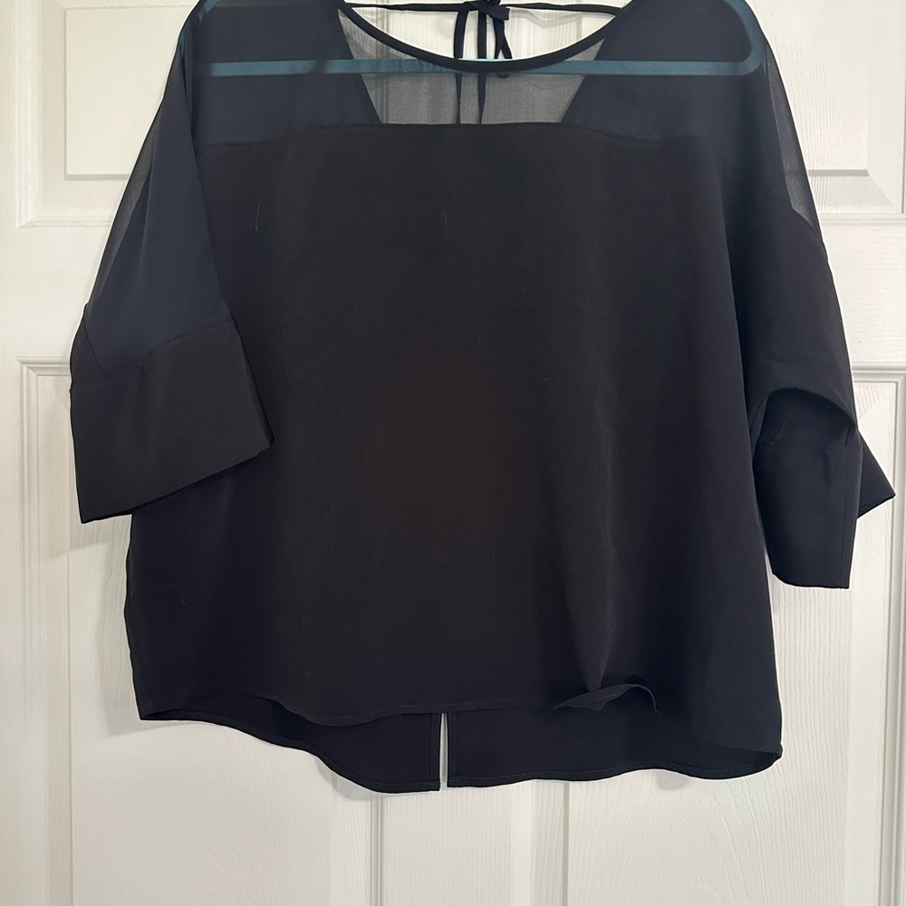 Express Black Sheer Blouse